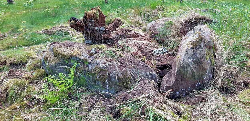 Das Großsteingrab wurde komplett zerstört.