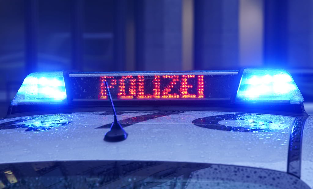 Weil Unbekannte einen Einkaufswagen in das Bahngleis am Bahnhof Bernburg-Roschwitz gelegt hatten, kam es zu einer Streckensperrung.