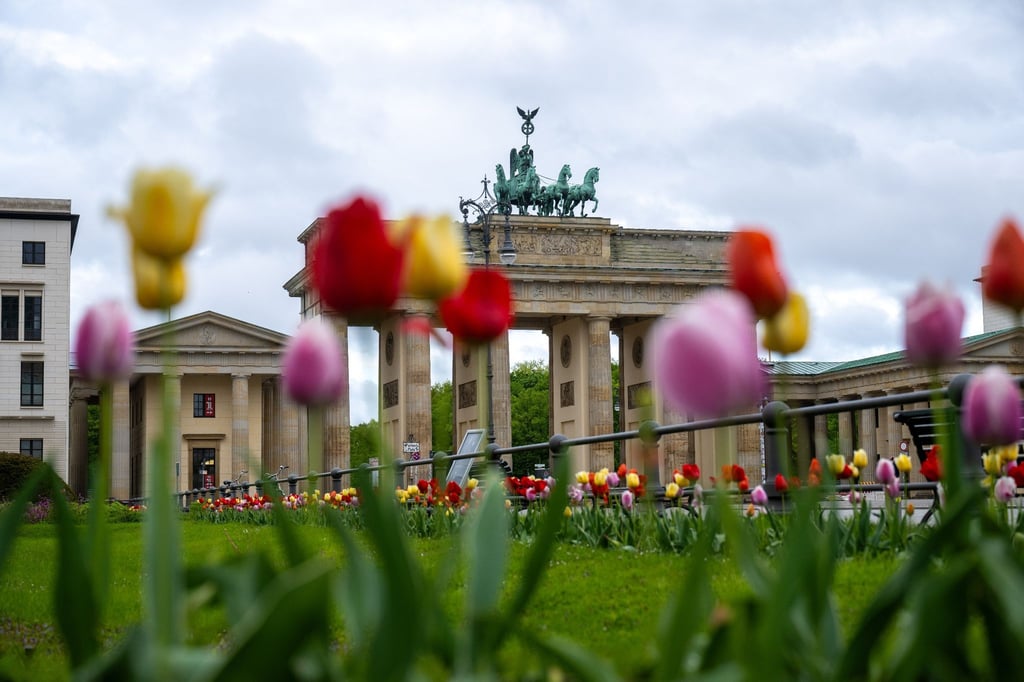 Vor dem Brandenburger Tor stehen Tulpen.