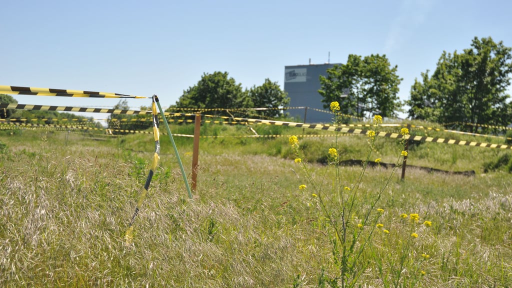 Enertrag baut zwischen Autobahn 14 und Euroglas in Osterweddingen eine Elektrolyse-Anlage.
