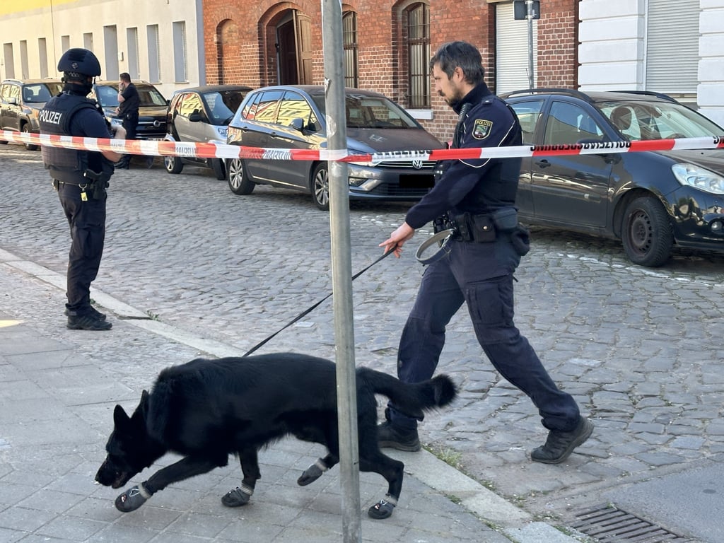 Großeinsatz der Polizei in Magdeburg: Die Polizei ist in Magdeburg mit Spürhunden im Einsatz.