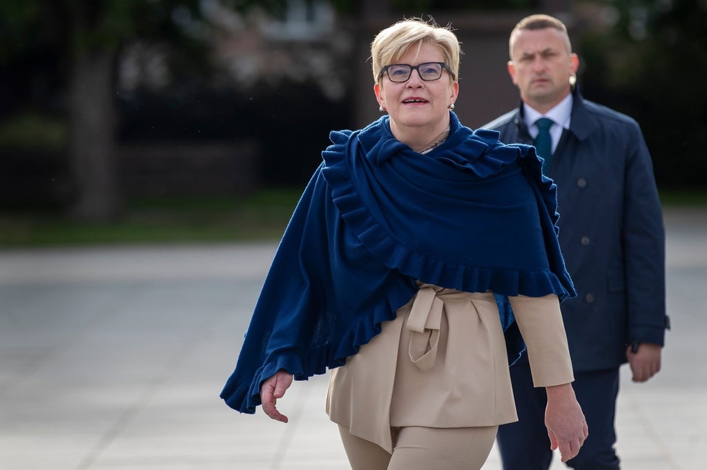 Ingrida Simonyte bekam gut 19 Prozent der Stimmen.