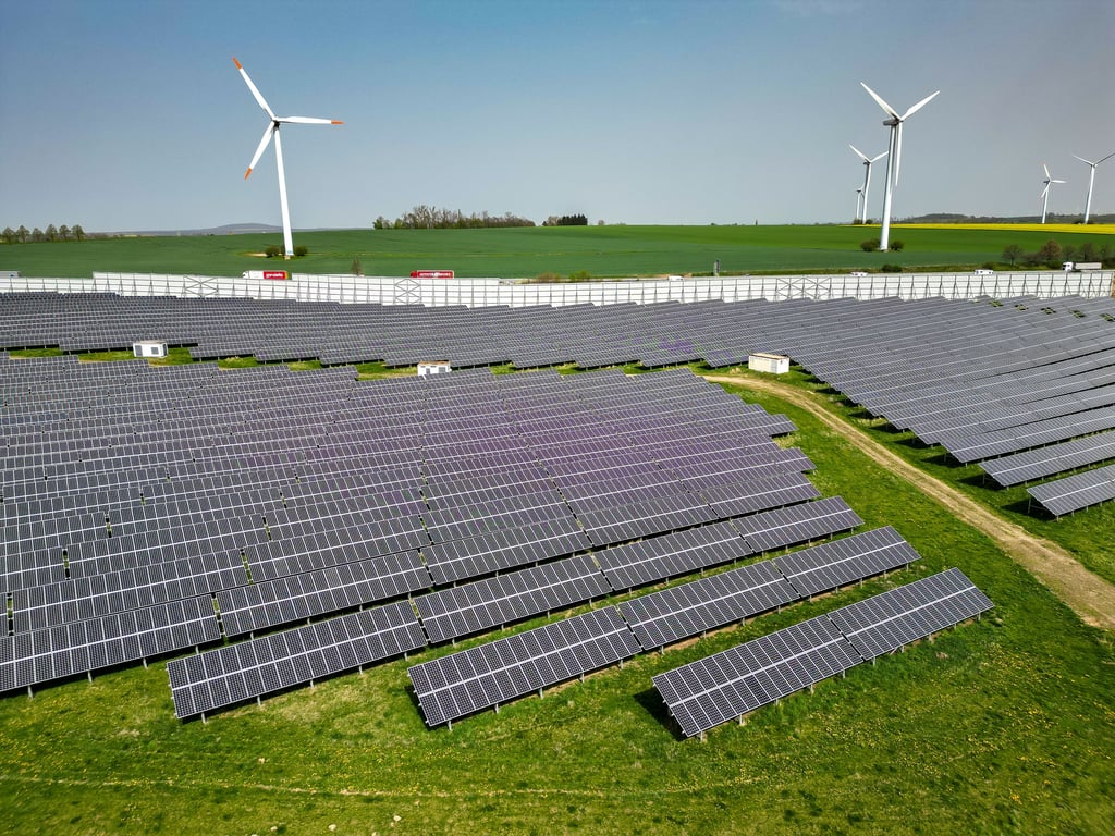 Auf einem Acker bei Leitzkau soll ein Solarpark entstehen.