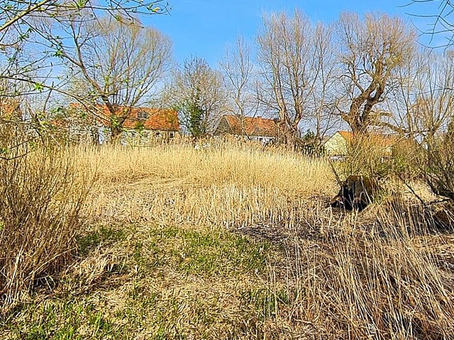 Kleinod Harz Aus Uralter Graben undicht Ist idyllischer