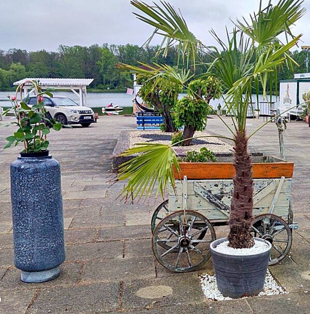 Das Dessauer Waldbad startet an diesem Mittwoch, 15. Mai, in die neue Badesaison.