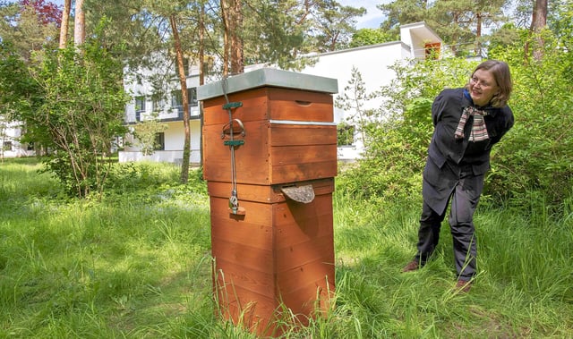 35+ Bienenvolk Im Garten Was Tun, Bienenschweiz erläutert auf dieser