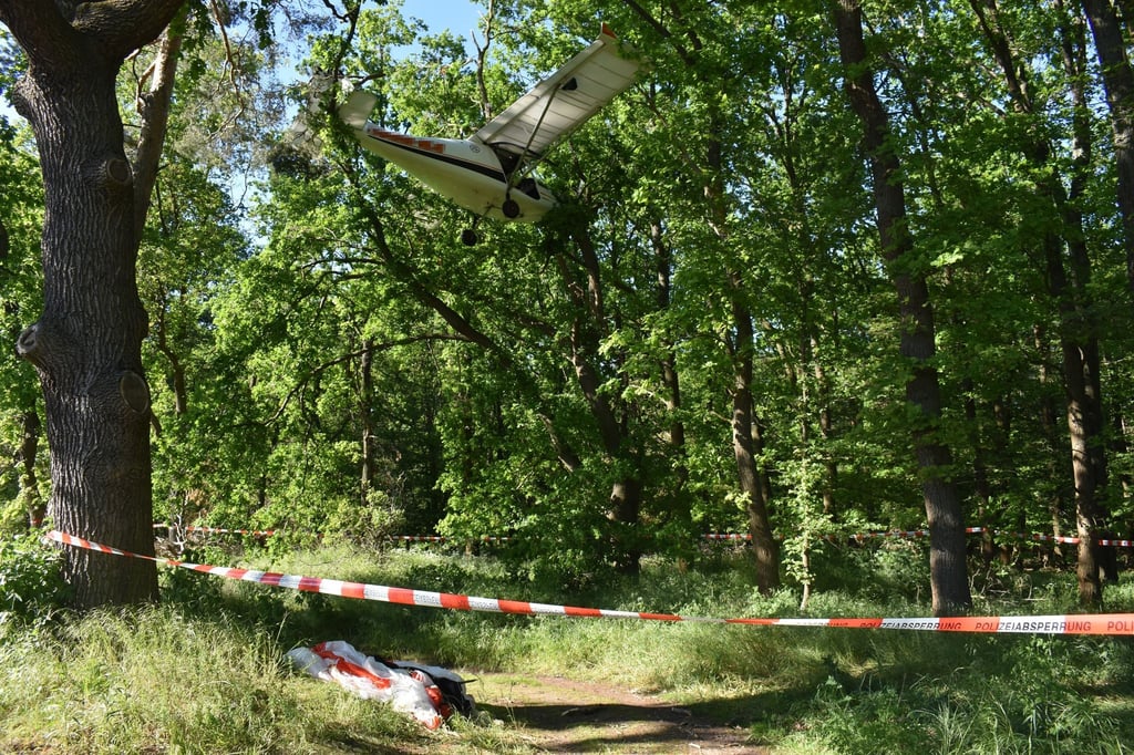 Ein Ultraleichtflugzeug ist bei Dessau-Roßlau in eine Baumkrone gestürzt. Der 64 Jahre alte Pilot blieb unverletzt.