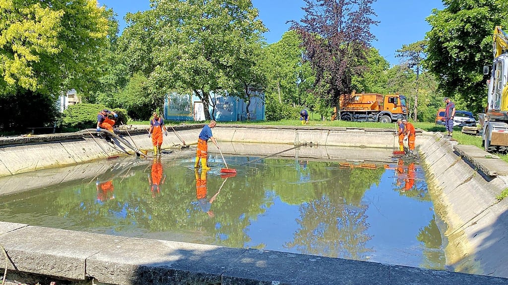 Mitarbeiter der Abwassergesellschaft Halberstadt und des Stadt- und Landschaftspflegebetriebes pumpen das Becken des Brunnens am Breiten Tor leer.