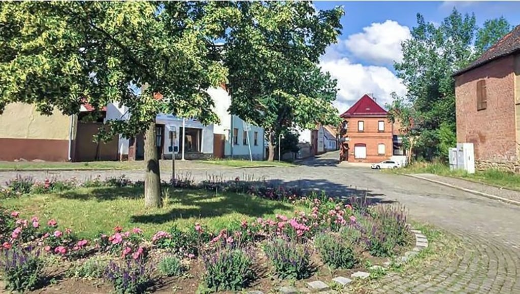 Der Natur- und Verschönerungsverein Frose hat mithilfe von EnviaM-Mitarbeitern auch diesen Kreisel mit Rosen und Lavendel bepflanzt.