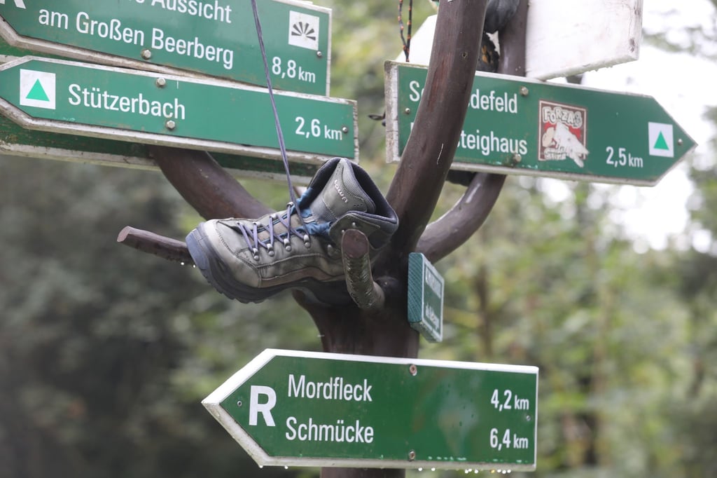 Wanderweg-Hinweisschilder stehen am Rennsteig bei der Eröffnung des 29. Thüringer Wandertages.