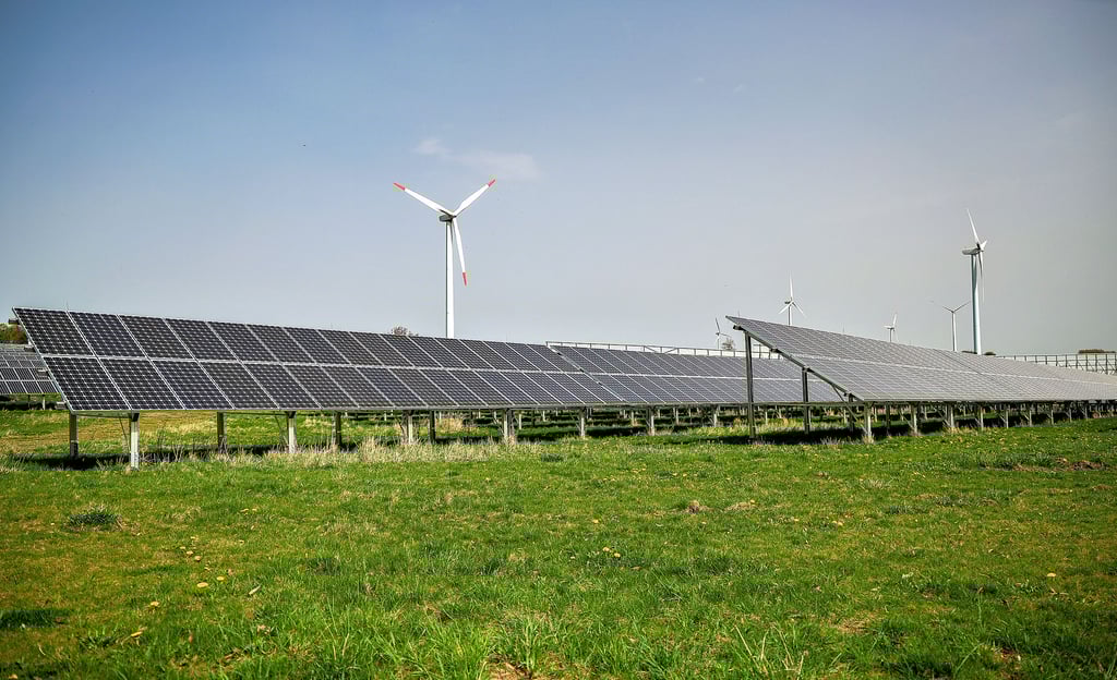 In Krumpa wird das aktuell größte Agri-Photovoltaik-Projekt in Sachsen-Anhalt entstehen.