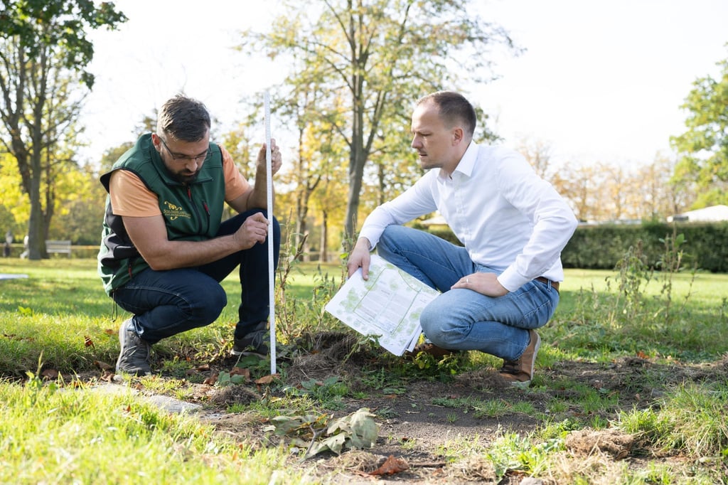 Michael Methner (l), Gartenmeister, und Claudius Wecke, Leiter Bereich Gärten, hocken im Park Großer Garten auf der Freifläche der künftigen Baumschule.