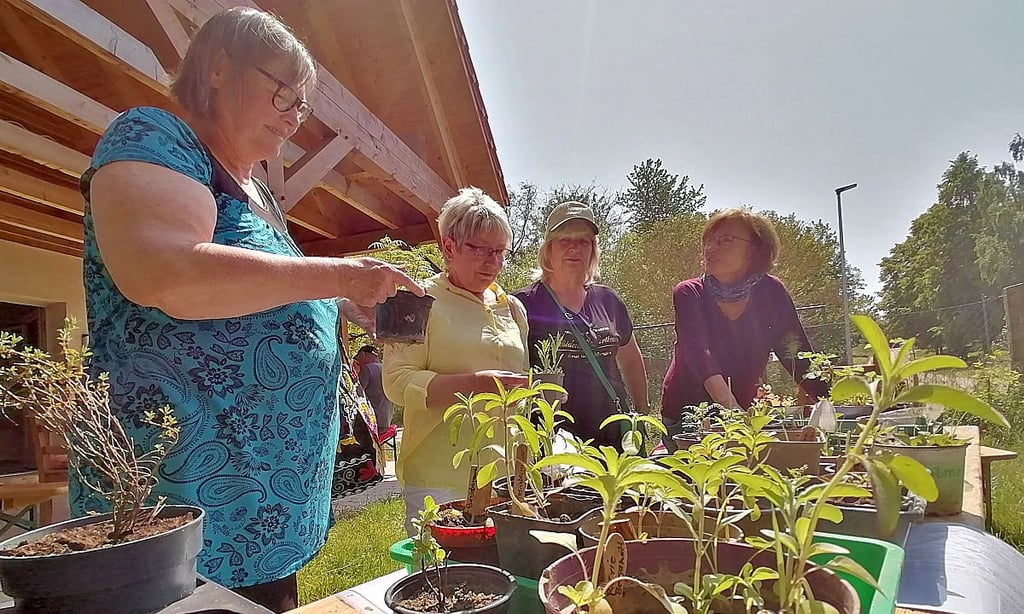 Am 26. Mai 2024 der öffnet Schaugarten des Vereins „Natur und Handwerk“ am Bellebener Weg 1 in Schackstedt seine Pforten für Besucher.