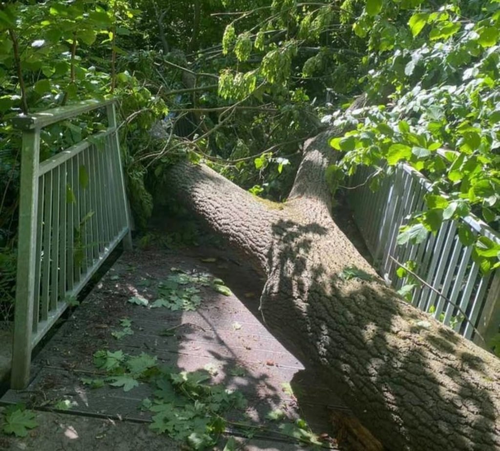 Ein massiver Baum ist während des Sturms mitten auf die Ziethebrücke am Sportplatz von Biendorf gekracht und hat großen Schaden angerichtet.