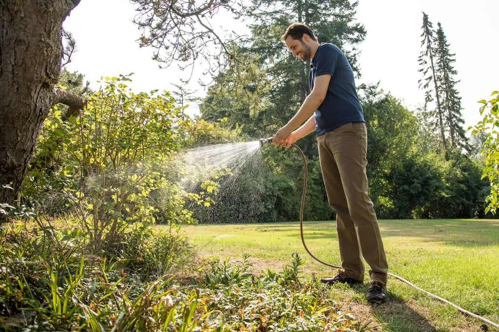 Wichtiger als die Häufigkeit ist beim Wässern die Menge. Wird der Boden einmal durchdringend gewässert, kann das Wasser auch in tiefere Bodenschichten dringen.