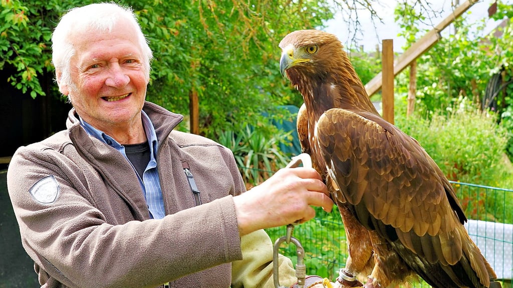 Sind wieder vereint: Gerald Brettschneider und sein Steinadler