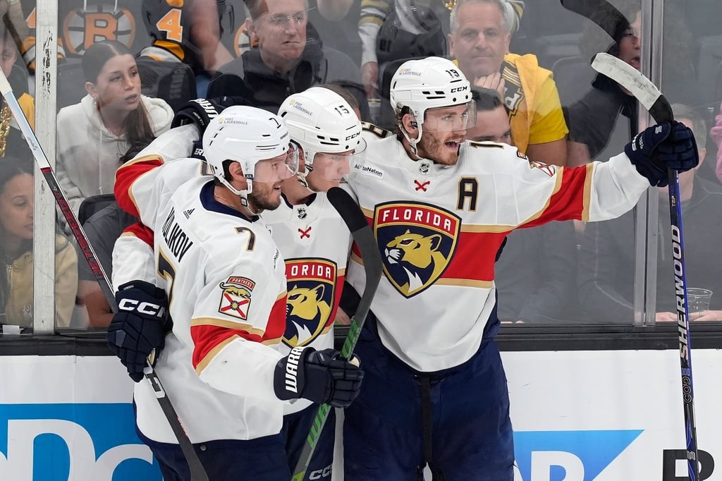 Die Florida Panthers haben sich für das Halbfinale der NHL-Playoffs qualifiziert.