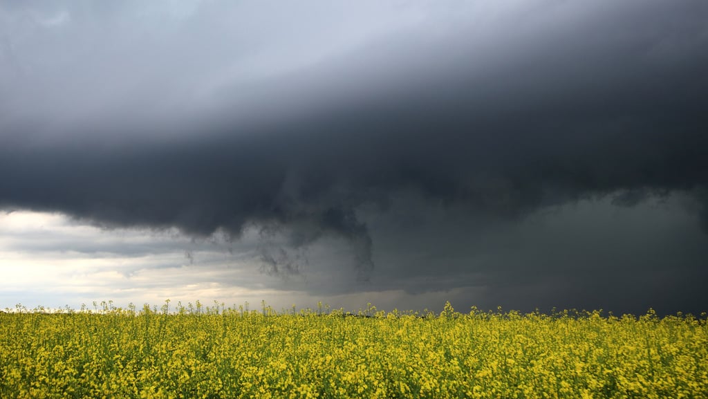 Wetter-Warnung: Der Deutsche Wetterdienst hat für mehrere Landkreise in Sachsen-Anhalt eine Warnung vor starkem Gewitter veröffentlicht.