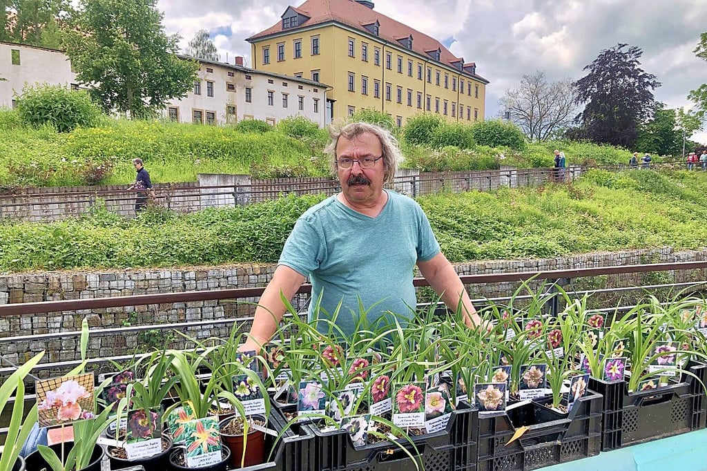 Andreas Klinger aus Mülsen bei Zwickau hatte eine (kleine) Auswahl seiner rund 4.000 Taglilien in 2.000 Sorten dabei.