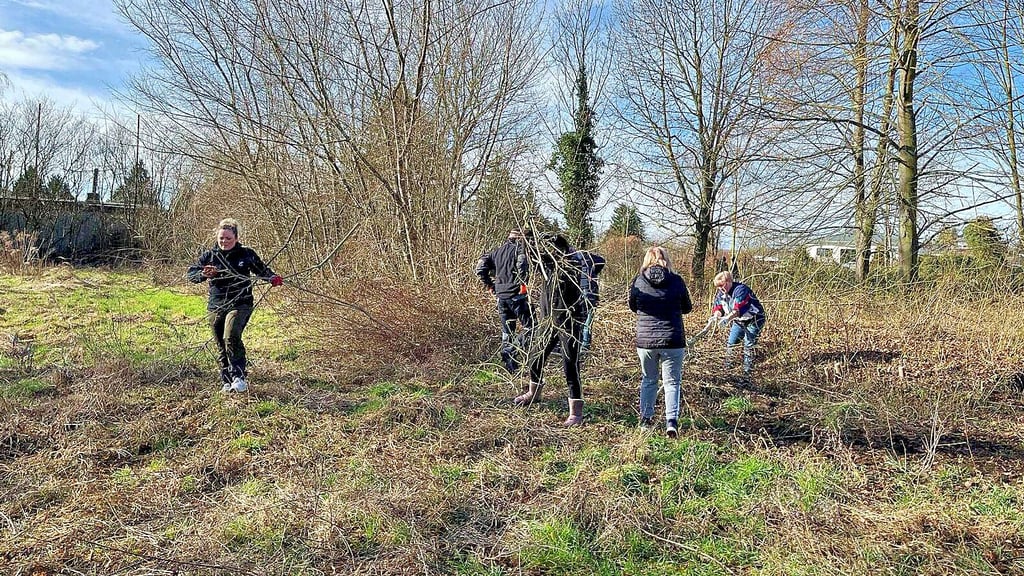 Ortschaftsratsmitglieder, Dorfbewohner und die Jugendlichen aus Neundorf haben im Frühjahr den Bolzplatz vom Gestrüpp befreit.