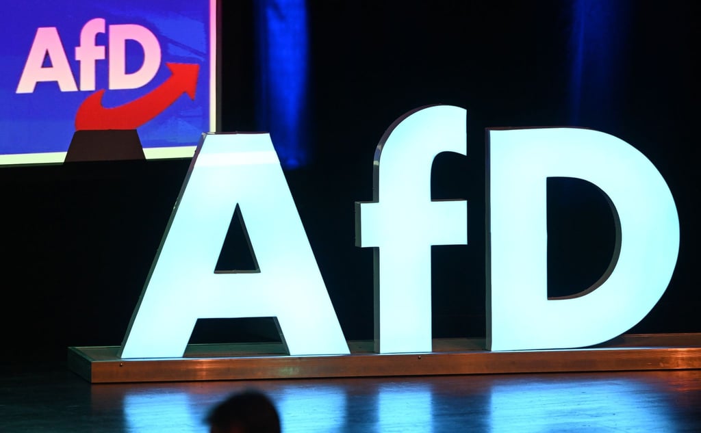 Die AfD legte in der Wählergunst im vergangenen Jahr deutlich zu.