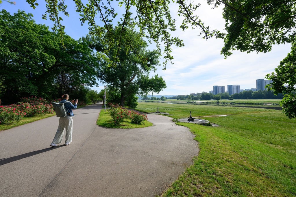Blick auf die Elbwiesen am Rosengarten. Bei einem Blitzeinschlag waren am 20. Mai 2024 zehn Menschen in dieser Gegend zum Teil schwer verletzt worden.