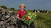 Biolandwirt Klaus Feick bietet im Raum Halle Biokisten mit Gemüse an. Die Nachfrage hat sich nach dem Inflationsschock wieder erholt.