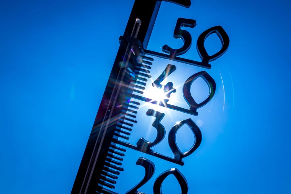 Ein großer Teil der Jugendlichen wolle mehr wissen und wünsche sich weitere Informationen über den Klimawandel, ergab die Studie.