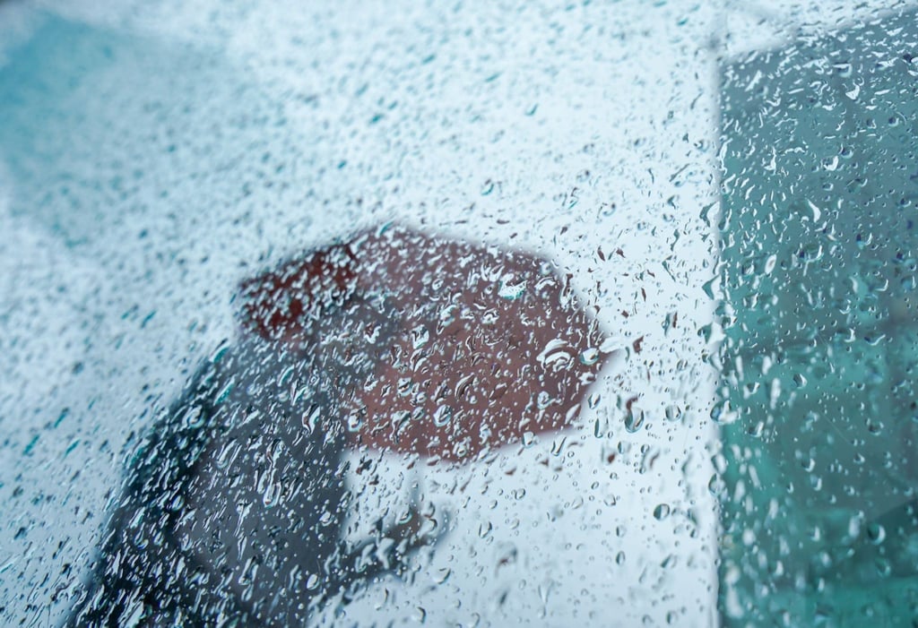Ein Passant mit Regenschirm.