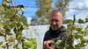 Carsten Kundt betreibt in zweiter Generation eine Obstplantage in Aspenstedt nahe Halberstadt. Er hat versucht, einen Teil seiner Himbeerpflanzen mit Vlies vor der Kälte zu schützen. 