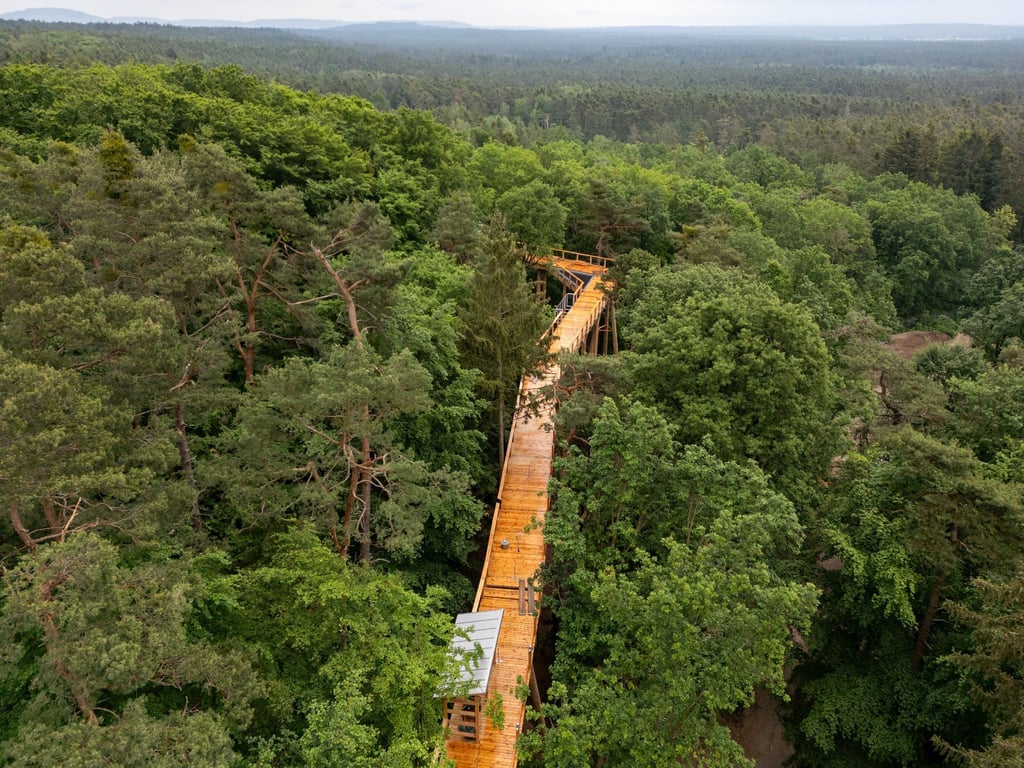 Der als „Klimawaldpfad“ angedachte Baumwipfelpfad am Nürnberger Tiergarten soll den Wald spielerisch erlebbar machen und auch mit Kinderwagen und Rollstühlen zugänglich sein.