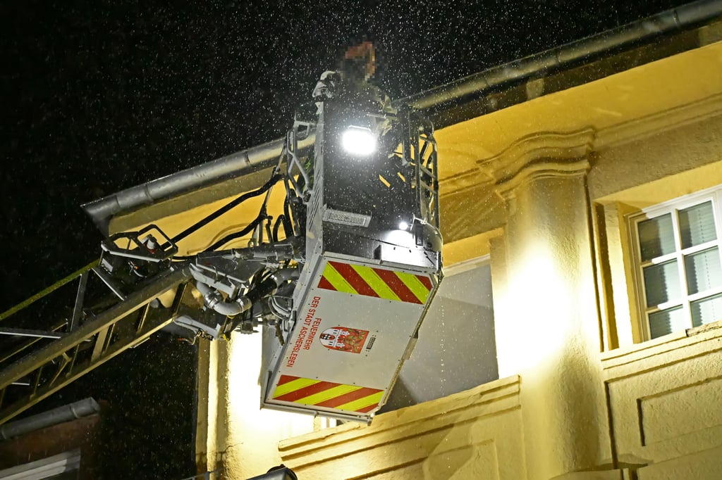 Bei einem Brand in einem Ascherslebener Wohnhaus konnten neun Personen gerettet werden.