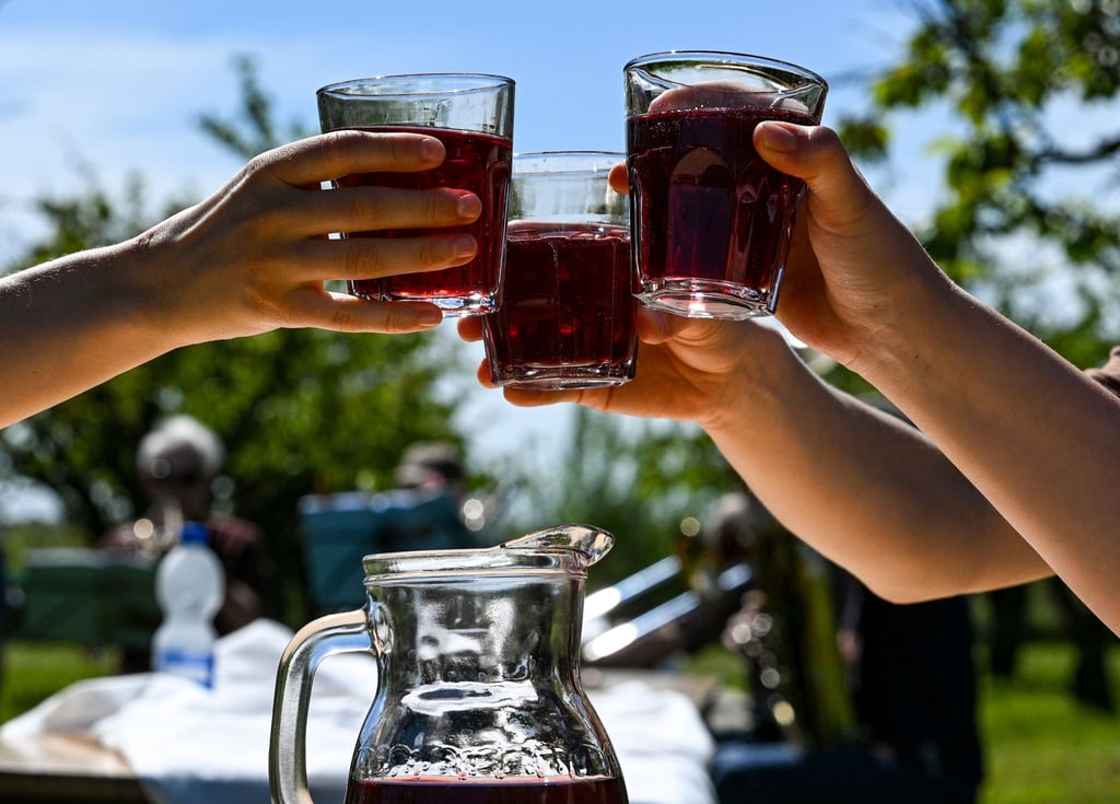 Gäste stoßen unter Obstbäumen beim 145. Baumblütenfest mit Obstwein an.