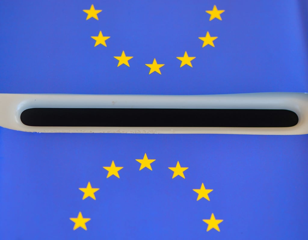 Wann ist Wahltag? In Deutschland findet die Europawahl am Sonntag, den 9. Juni, statt.