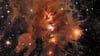„Messier 78“: ein leuchtender, von interstellarem Staub umhüllter Sternhaufen.