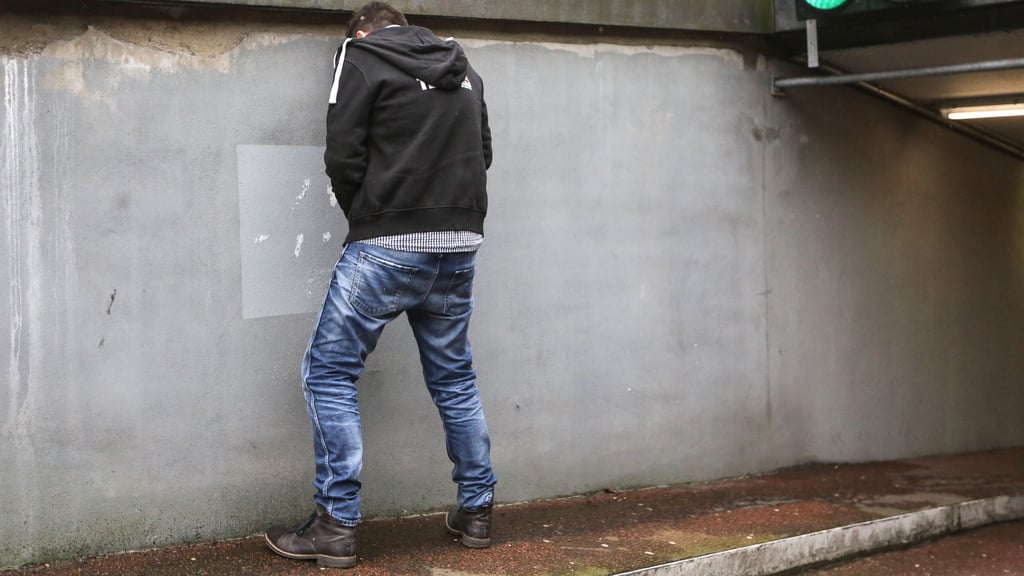 An einem Magdeburger Bolzplatz fehlt es an öffentlichen Toiletten. Deshalb weichen viele Besucher aufs Wildpinkeln in der Nähe aus.