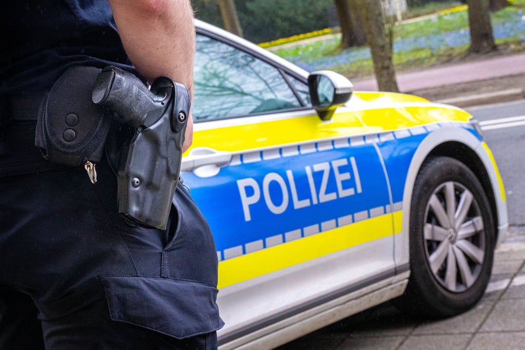 In Eisleben wurde ein Hund vor den Augen seiner Besitzerin von einem Auto überfahren.
