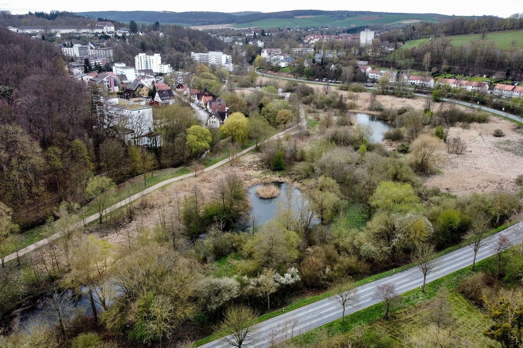 Blick auf das Gelände der Landesgartenschau Bad Gandersheim mit dem Auepark im Vordergrund und Teilen der Stadt im Hintergrund.