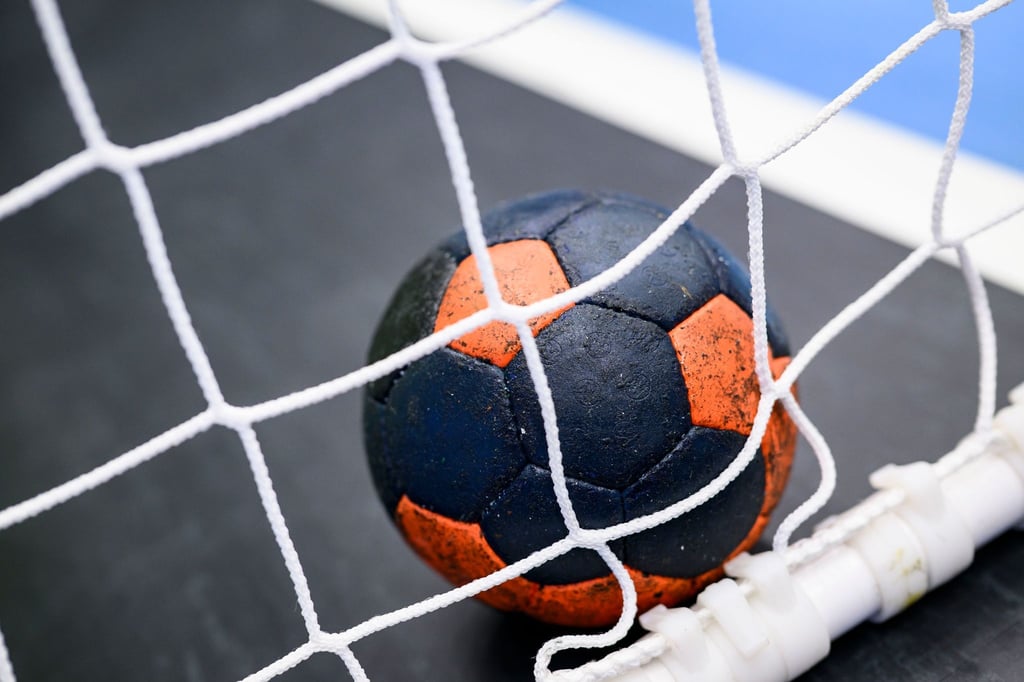 Ein Handball liegt in einem Tornetz.