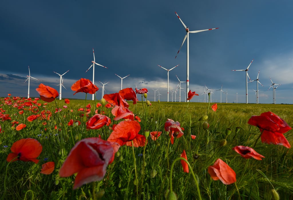 In Havelberg soll ein Energiepark entstehen.