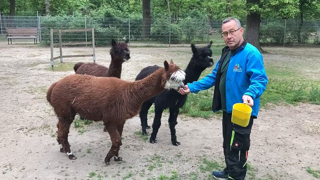 Ingo Wolter ist Tierpfleger im Tierpark Zabakuck.