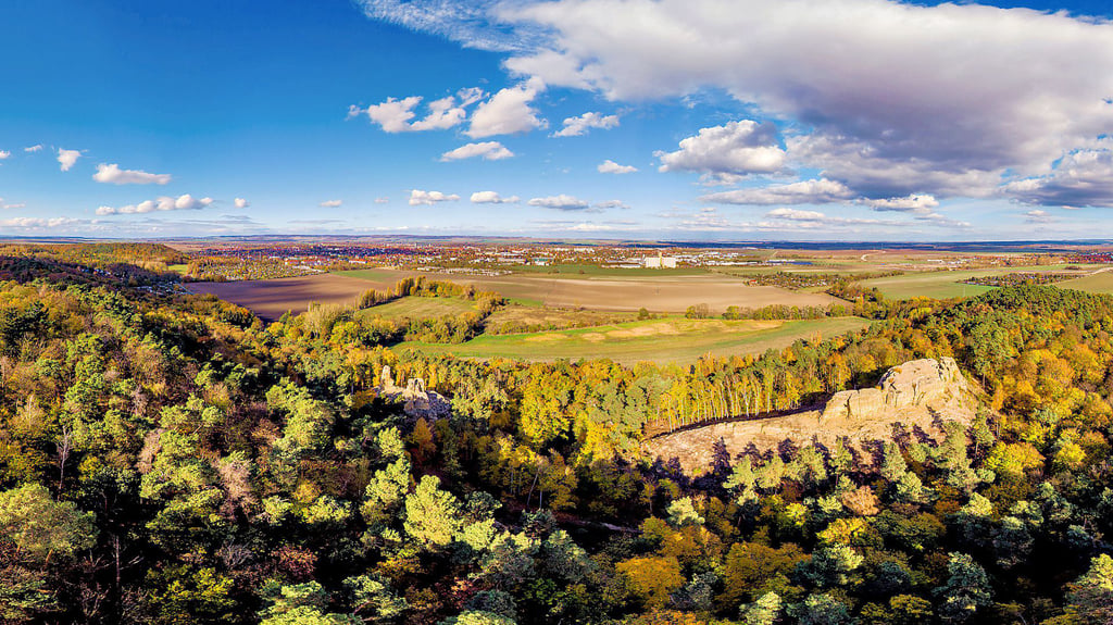 Urlaub im Harz: Besser als jede andere Harz-Stadt: Womit Halberstadt ...