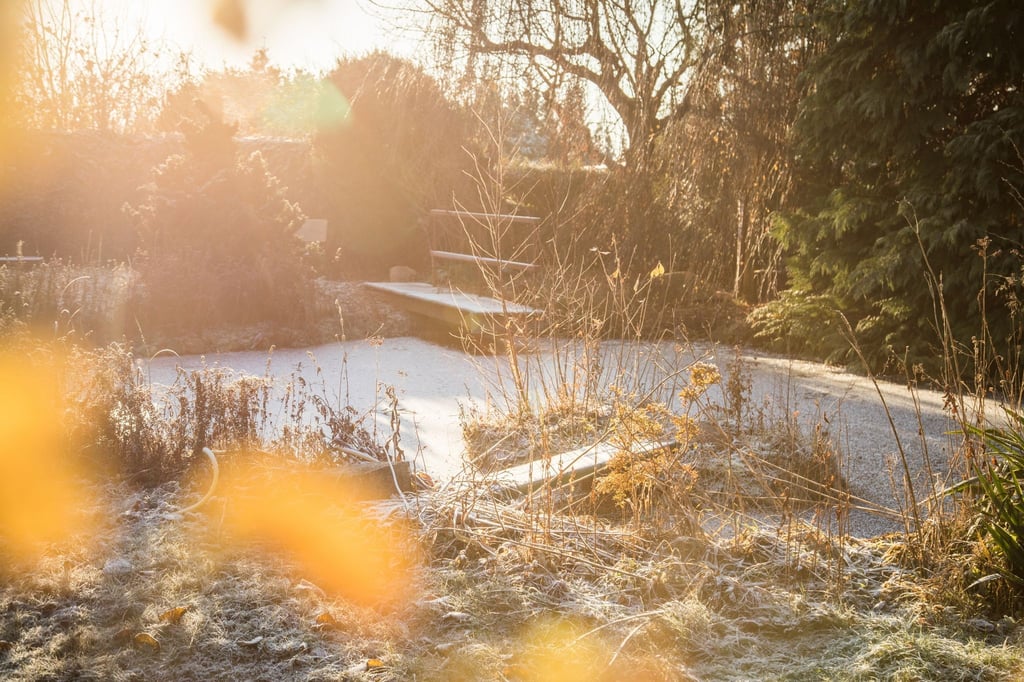Frostig in den Frühling: Frostkeimer brauchen die Kälte, um im Frühjahr auszutreiben.