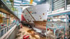 Das Kreuzfahrtschiff "Silver Ray" in einer Halle der Meyer Werft. Die Werft plant nach Angaben des Betriebsrats den Abbau von bis zu 440 Stellen.
