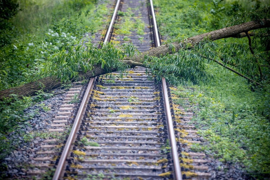 Ein umgestürzter Baum liegt auf einem Gleis.