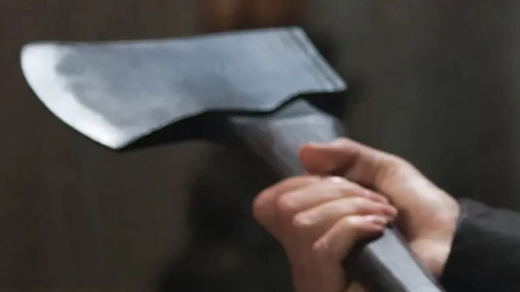 Mit Axthieben ist ein Mann vor einer Obdachlosenunterkunft in Schlnebeck schwer verletzt worden.