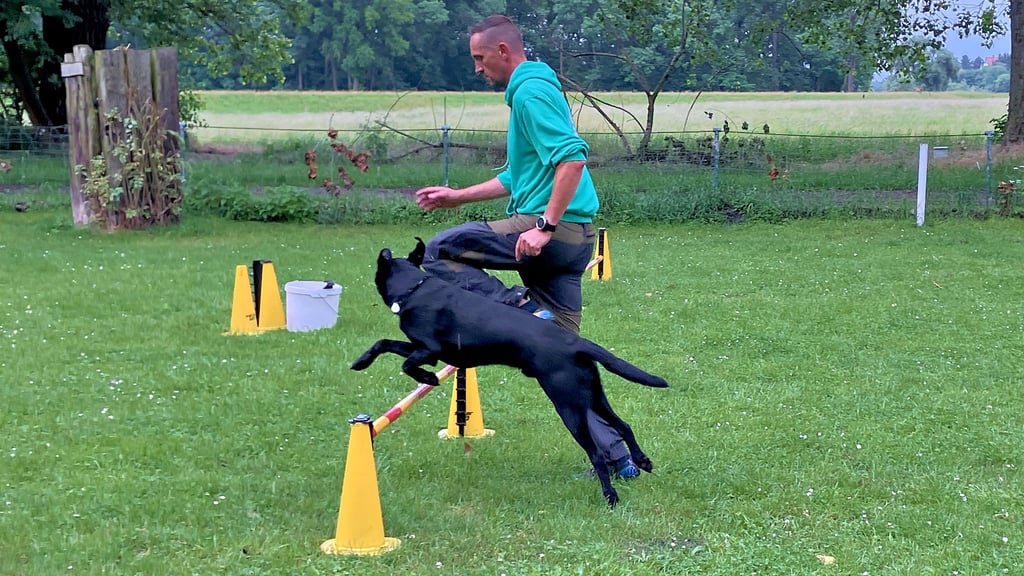 Andreas Beck trat mit Labrador Jack beim Turnierhundsport-Länderkampf im Team aus Sachsen-Anhalt an und erreichte den dritten Platz.