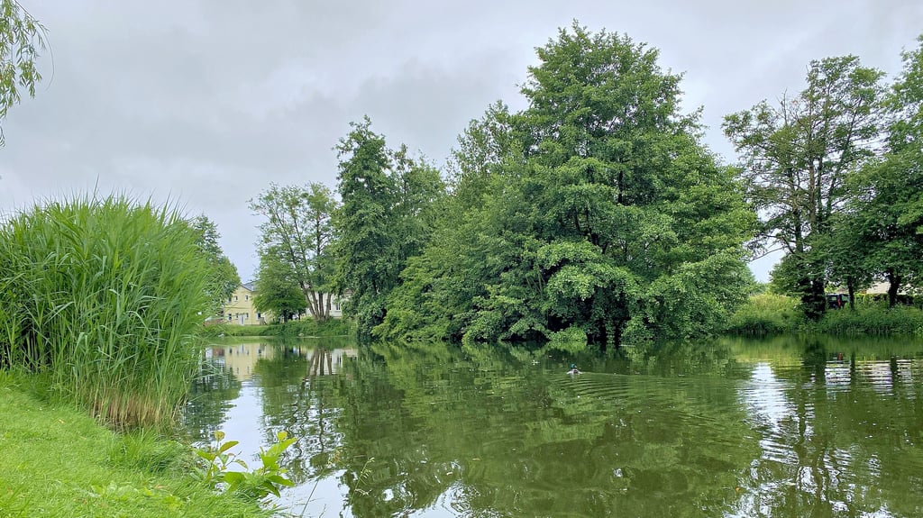 Der Gardelegener Stadtgraben ist zur Zeit so voller Wasser wie schon seit Jahren nicht mehr.