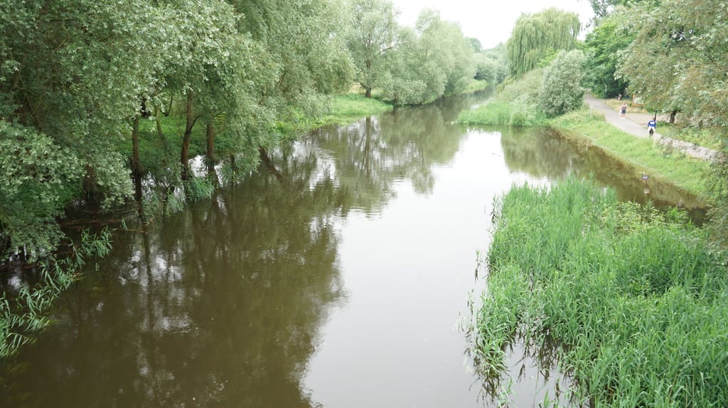 Die Ohre führt derzeit im Wolmirstedter Stadtgebiet viel Wasser.