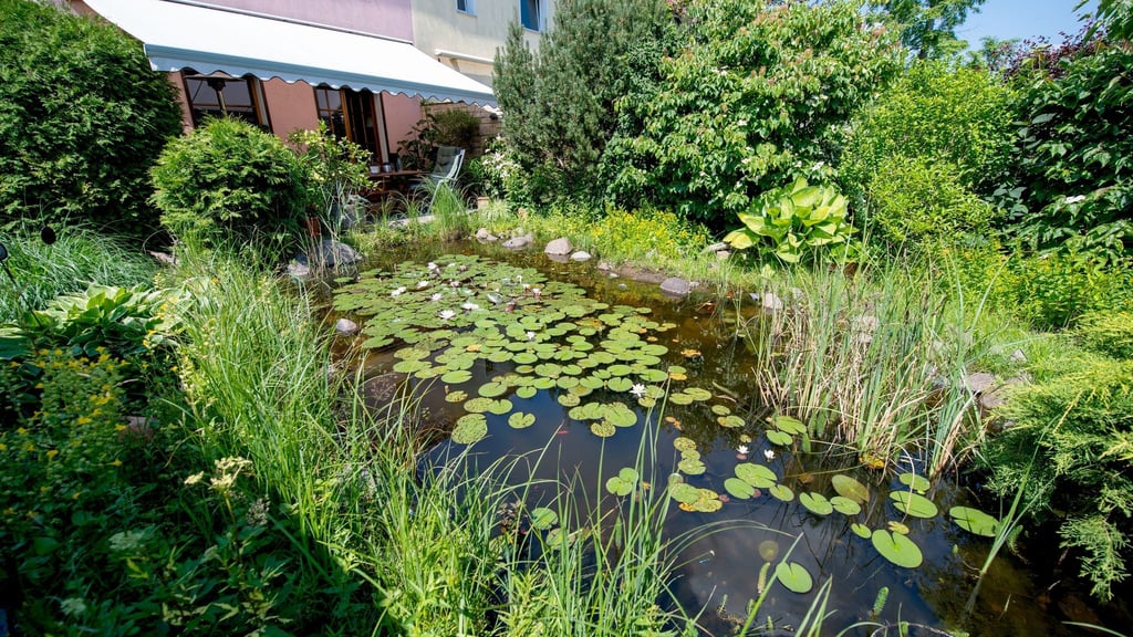 Gartenkalender 5 Tipps für den idealen Gartenteich